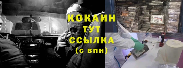 трава Горно-Алтайск