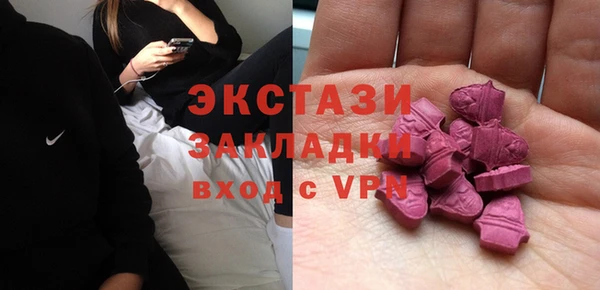 ешки Горняк