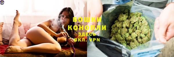 ешки Горняк