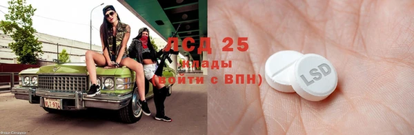 ешки Горняк