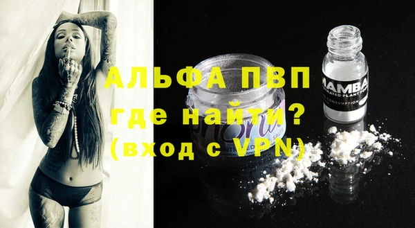 ешки Горняк